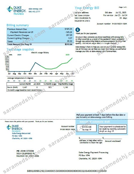 USA Duke Energy utility bill template in Word and PDF formats, version 3